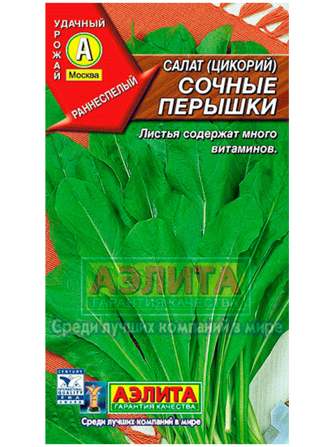 Салат Сочные перышки (цикорий)