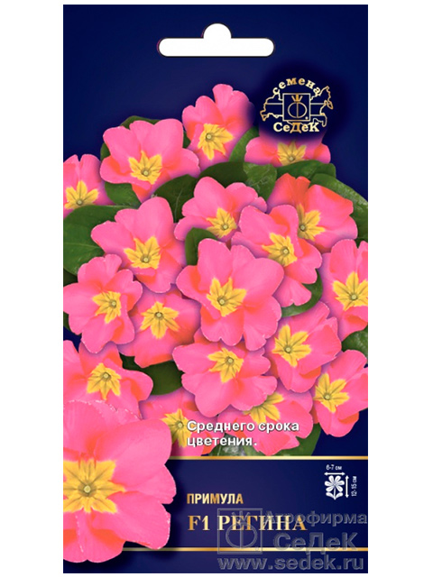 Примула Регина F1, ц/п, 0,5 г