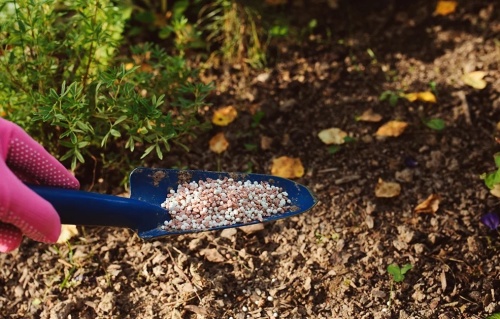 Использование почвоулучшителей для осенней обработки почвы