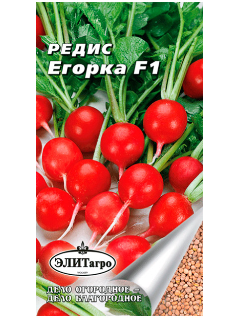 Редис Егорка 16 дней F1 1г ц/п