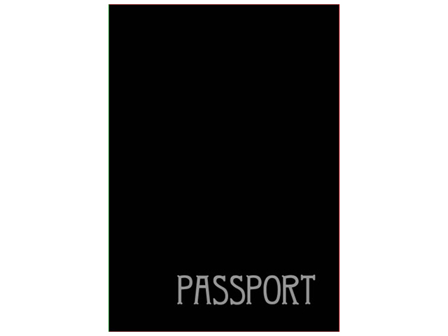 Обложка для паспорта "PASSPORT" 18,7*13,4см, черная, ПВХ