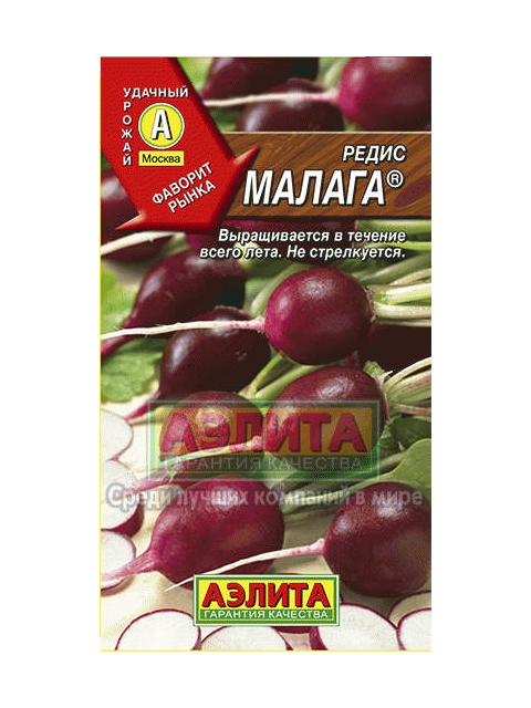 Редис Малага ц/п. Красивый цвет плодов. НЕ стрелкуется!