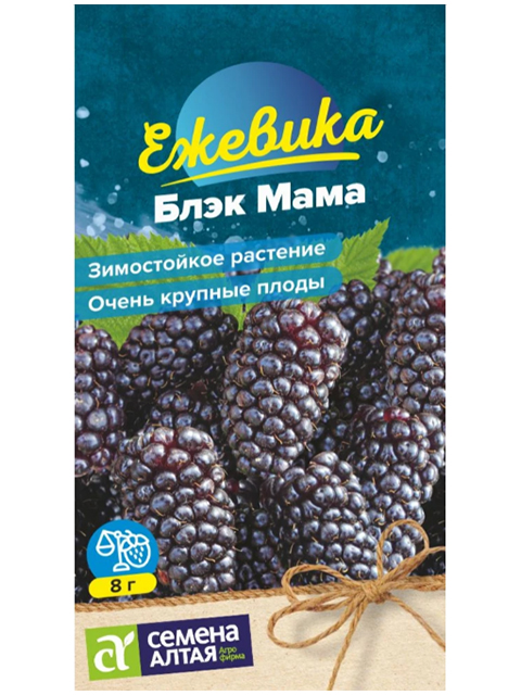 Ежевика Блэк Мама крупноплодная, 0,03 г, ц/п