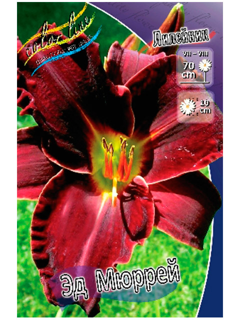 Лилейник Эд Мюррей (Hemerocallis) (1 штука)