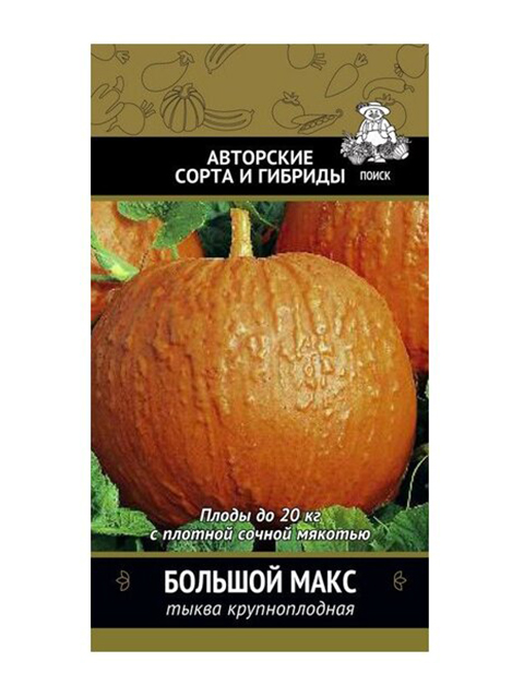 Тыква Большой Макс, крупноплодная ц/п, 10шт