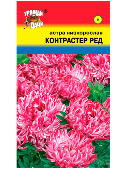 Астра Контрастер Ред, низкорослая, ц/п, 0,1г