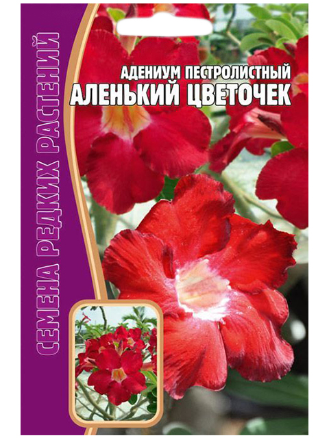 Адениум петролистный Аленький цветочек, 3шт, ц/п