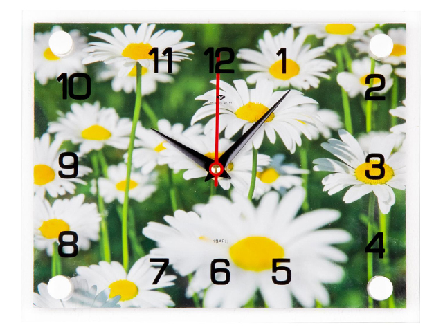 Часы настенные "Ромашковое изобилие" 2026-415 (10)