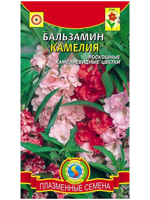 Бальзамин Том Тамб Купить Семена