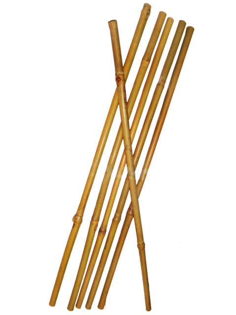 Бамбуковая опора - 150 см (D 12-14 мм)