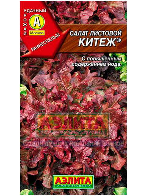 Салат Китеж листовой, 0,5г, ц/п