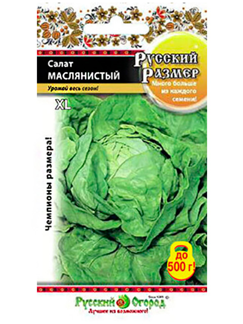 Салат Маслянистый, 0,5 г, ц/п, кочанный Русский размер 