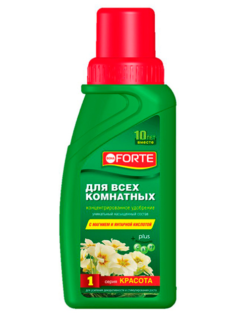 Bona Forte Для всех комнатных растений, КРАСОТА, 285 мл (1/20)