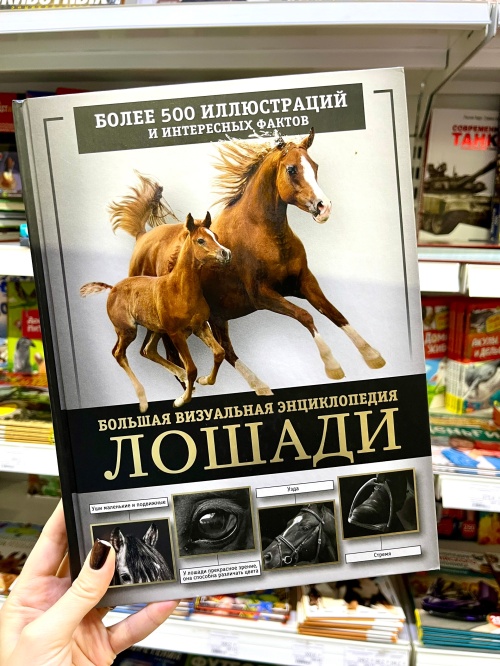 Детские энциклопедии - подарок на Новый год