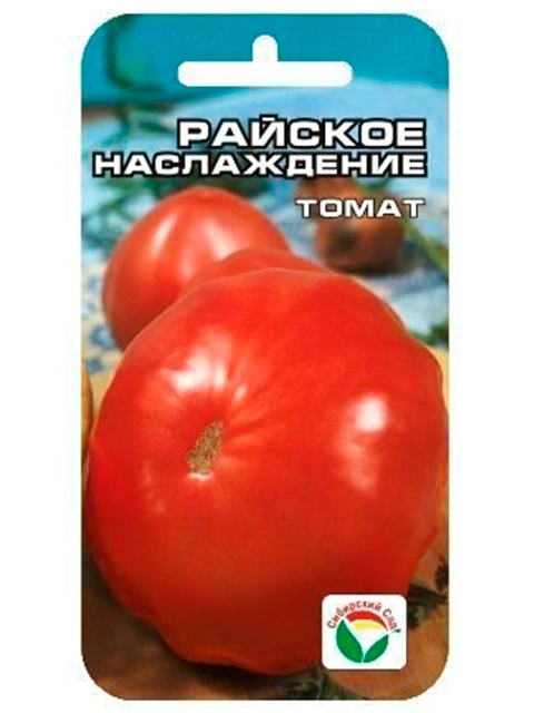 Томат Цифомандра Отзывы Фото Урожайность Характеристика