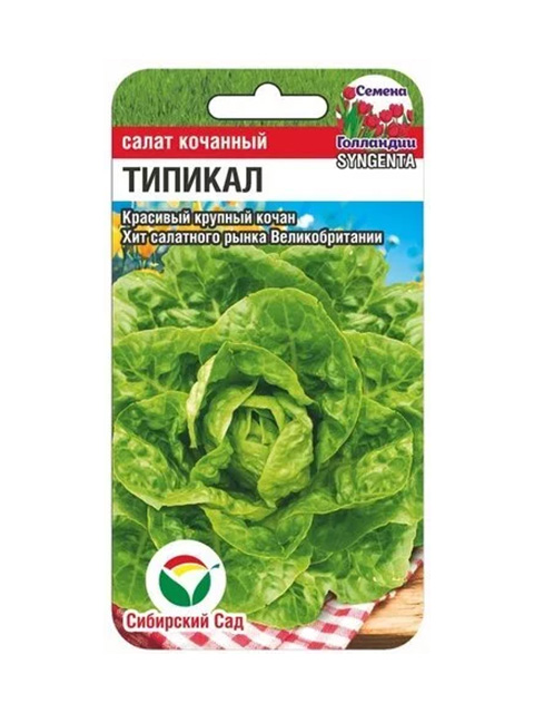 Салат Типикал кочанный, 10 штук, ц/п