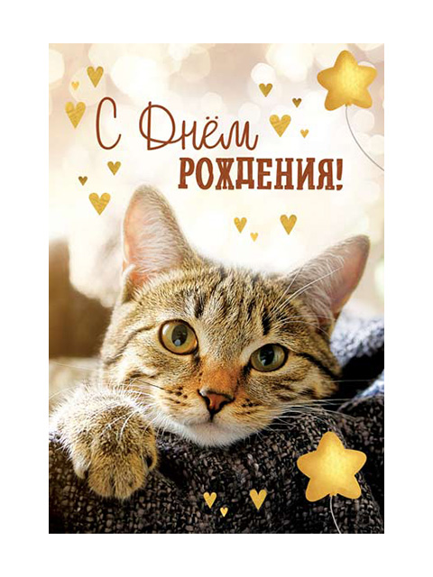 Лучшие открытки с Днем рождения В Контакте для Вас!