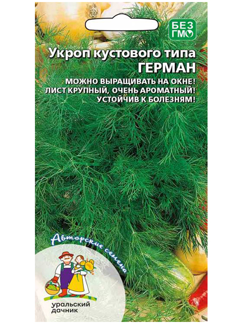 Укроп Герман - кустового типа  ц/п Уральский дачник