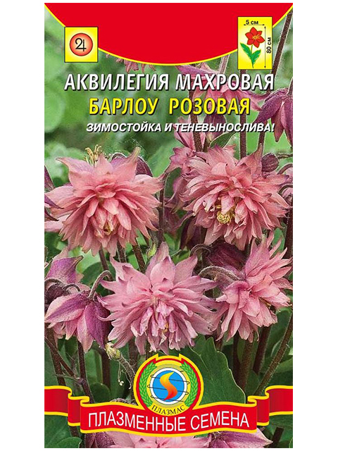 Аквилегия Барлоу Розовая, 9 штук, ц/п, махровая, Плазмас
