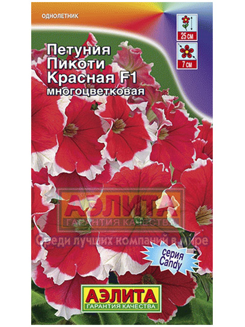 Интернет Магазин Петуния Томск Каталог