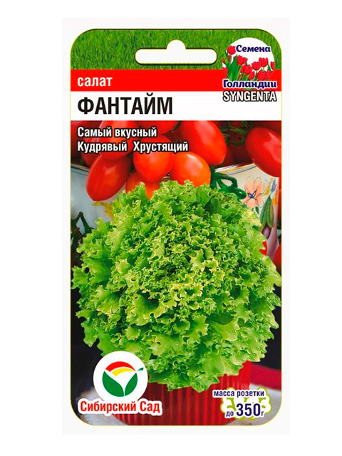 Салат Фантайм, ц/п, 10 штук, Сибсад