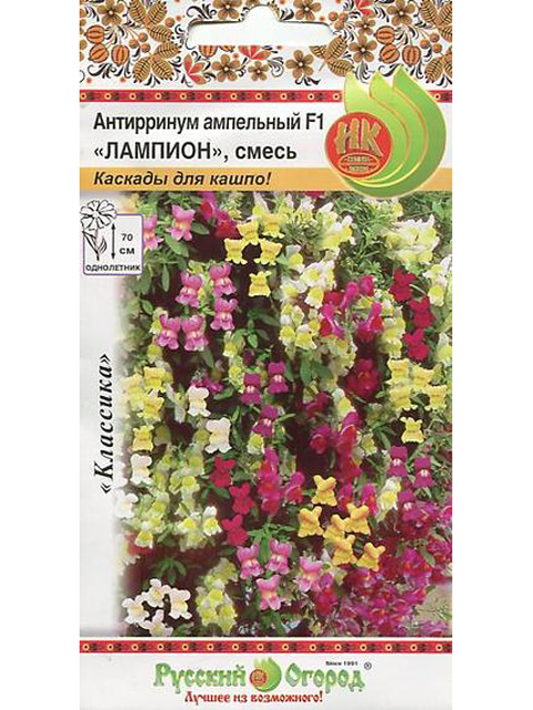 Антирринум Лампион F1 Микс, 5 штук