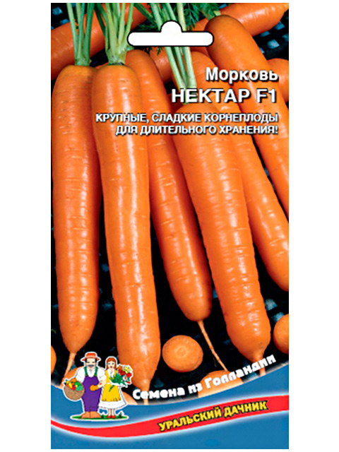 Морковь нектар. Семена морковь Нанте, ~250 шт.. Морковь нектар f1. Морковь Морелия f1. Морковь зимний нектар.