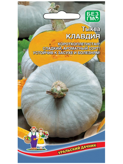 Тыква Клавдия, 5шт, ц/п Уральский дачник