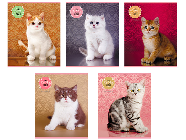 Тетрадь А5 48 листов линия Проф-Пресс PROFIT "Симпатичные котята-2" обложка картон, на скрепке