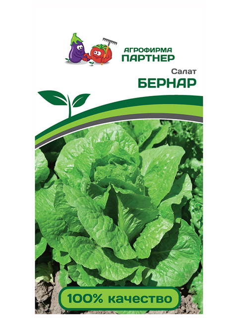 Салат Бернар, 0,5г, ц/п