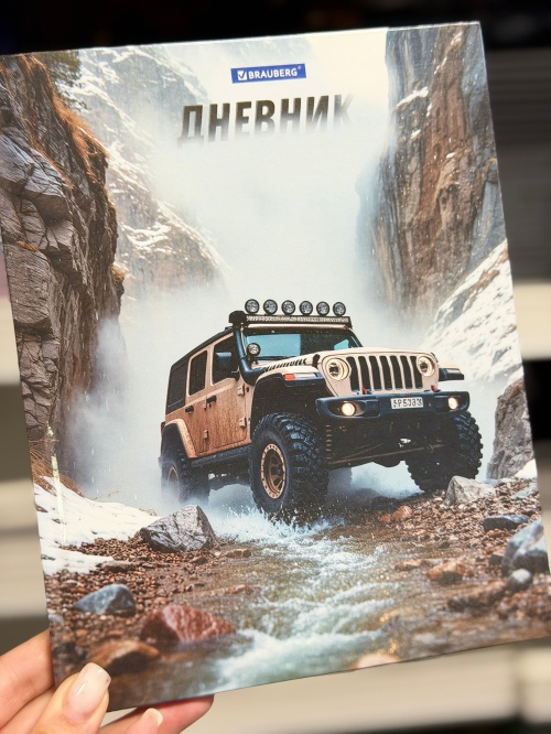 Выбираете школьный дневник?