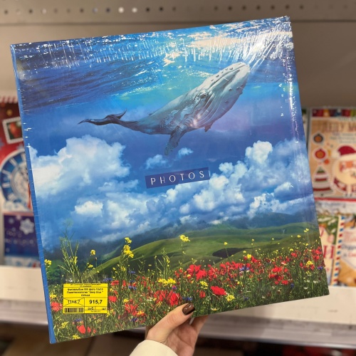 Фотографируйте и сохраняйте воспоминания в фтоальбомы