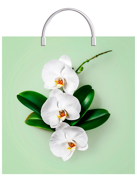 Пакет "петля" пластиковые ручки 36х37+10 Тико "Орхидея на салатовом"