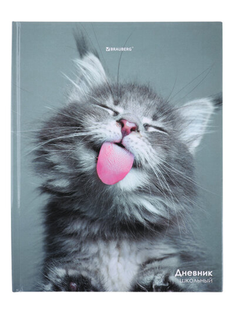 Дневник для старших классов BRAUBERG "Котик", твердая обложка