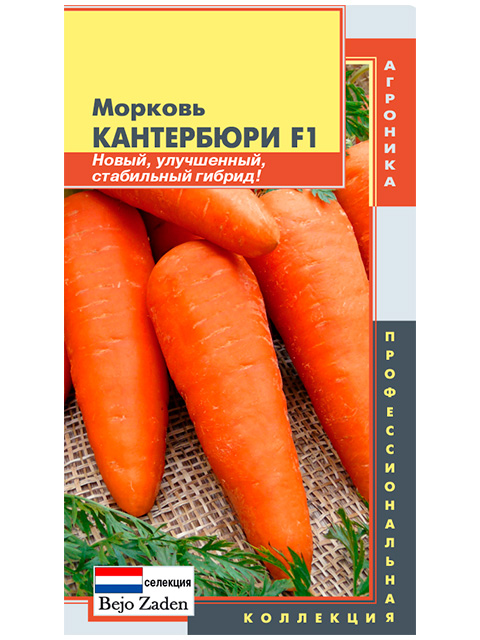 Морковь Кантербюри F1 ц/п, 140 штук