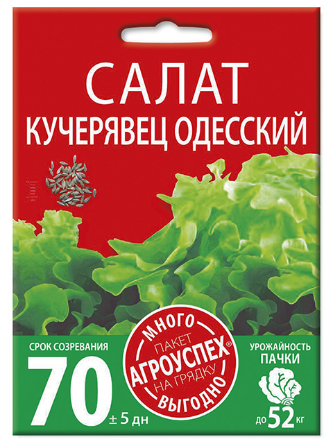 Салат Кучерявец Одесский, 3 г. ц/п Агроуспех