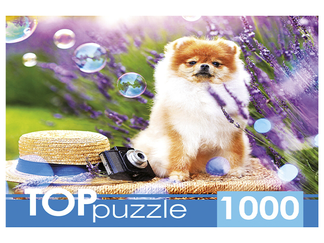 Пазлы 1000 элементов Рыжий кот "Toppuzzle. Шпиц в саду"