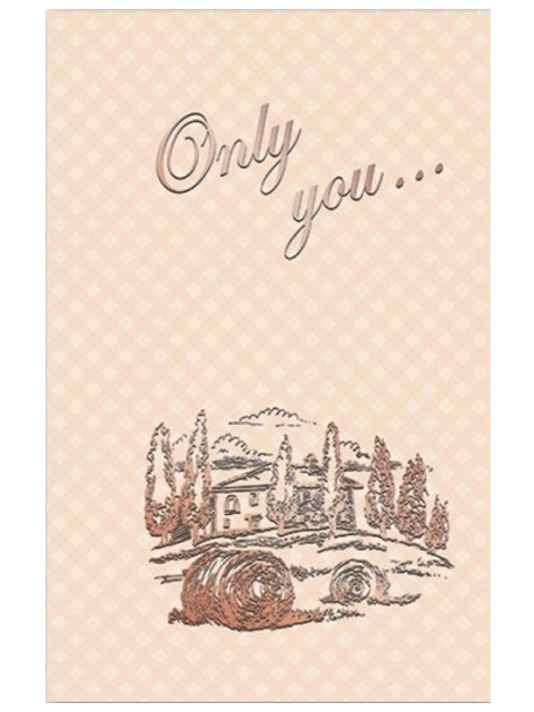 Записная книжка А6 96 листов Феникс+ "Only you. Милый пейзаж" обл. 7БЦ