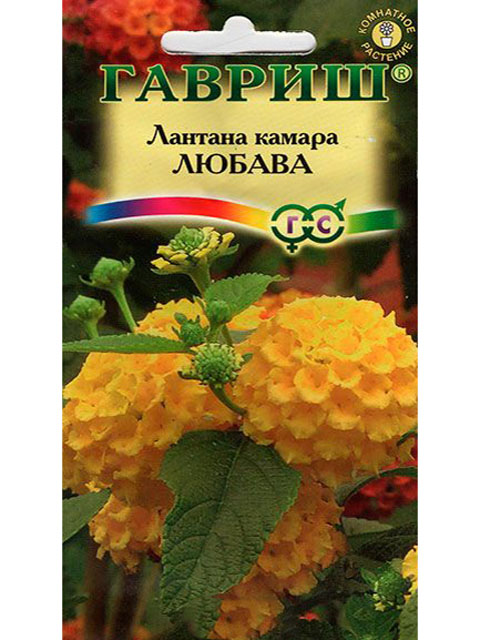 Лантана Камара Любава, 0,1 г, ц/п R