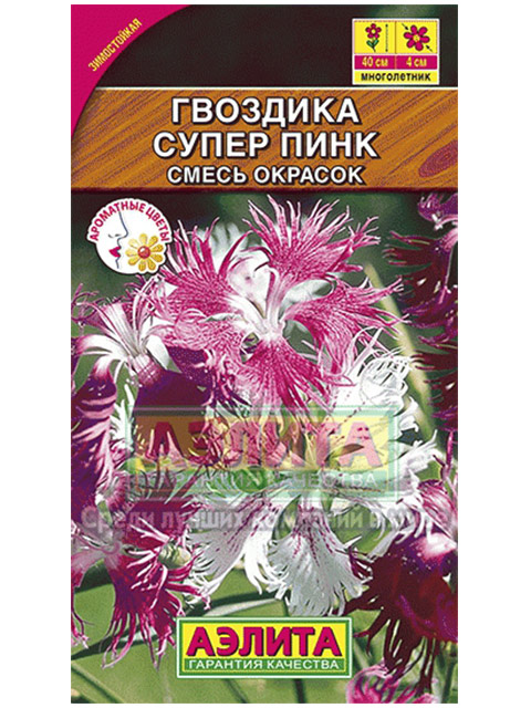 Гвоздика Супер пинк пышная, смесь окрасок, ц/п R