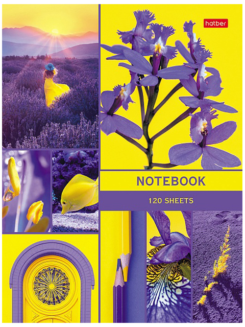 Бизнес-блокнот А5 120 листов Хатбер "В мире грез" клетка твердая обложка