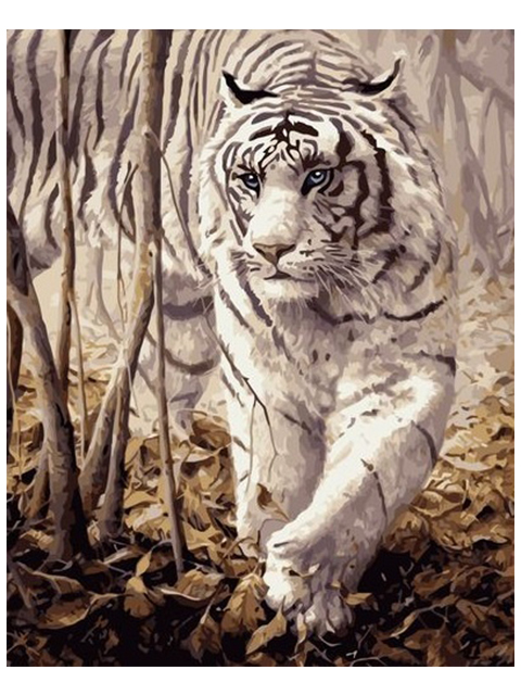 Картина по номерам Colibri "Белый тигр" 40*50см