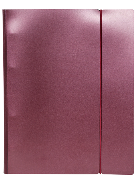 Тетрадь А5 120 листов, клетка Хатбер "Metallic" бордовый , на кольцах
