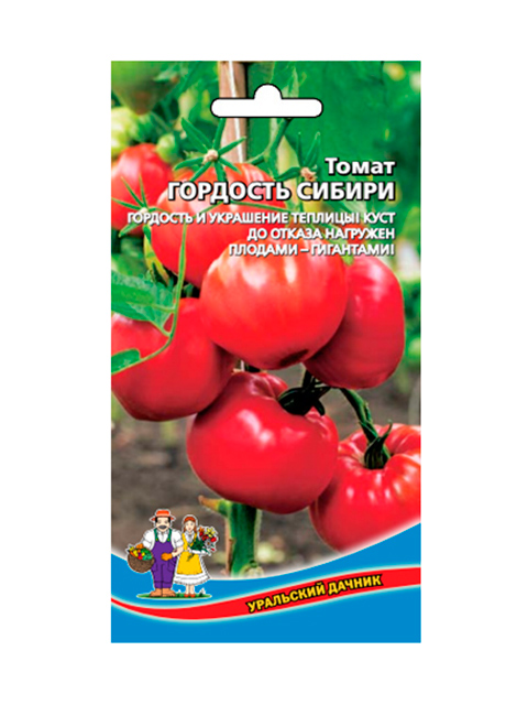 Гордость отзыв. Томат гордость Сибири Уральский Дачник. Уральский Дачник помидоры для теплиц. Томат гордость Сибири (уд) е/п. Уральский Дачник томат гордость Урала.