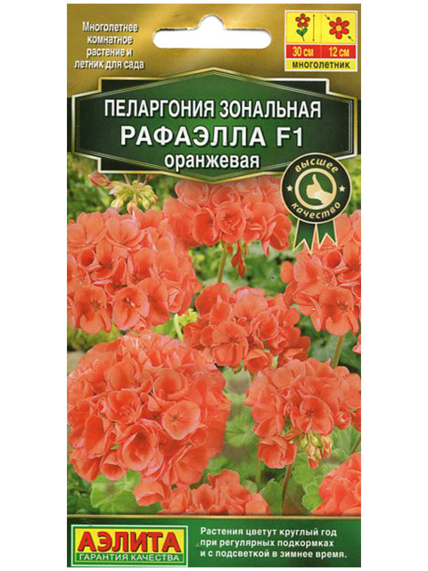 Пеларгония Рафаэлла F1 оранжевая, ц/п, 5 штук