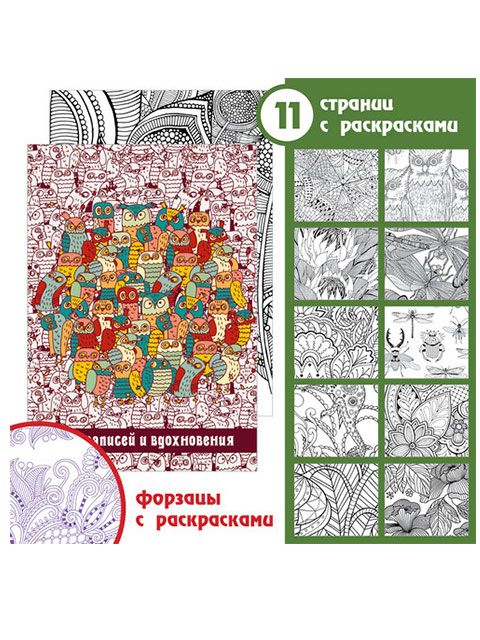 Записная книжка А6 80 листов клетка Paper ART "Яркие личности (совы)" обл. 7БЦ