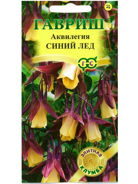 Аквилегия Купить
