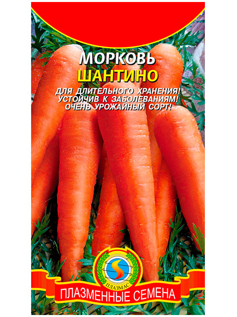 Морковь Шантино ц/п, 1,5г
