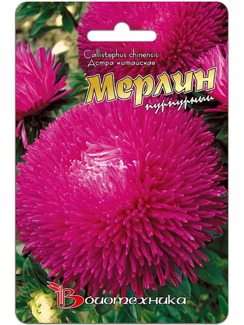 Астра китайская Мерлин розовый, ц/п