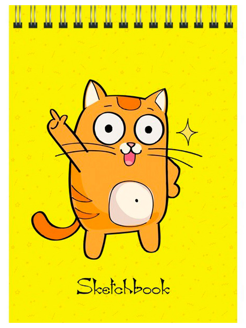 Скетчбук А6 40 листов PaperArt "Веселый котик" твердая обложка, на евроспирали
